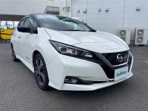 2017 Nissan Leaf