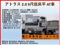 2006 Nissan Atlas