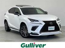 2021 Lexus NX