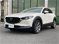 2019 Mazda CX-3