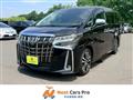 2018 Toyota Alphard G