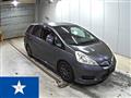 2012 Honda Fit shuttle