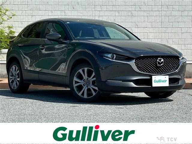 2019 Mazda CX-3