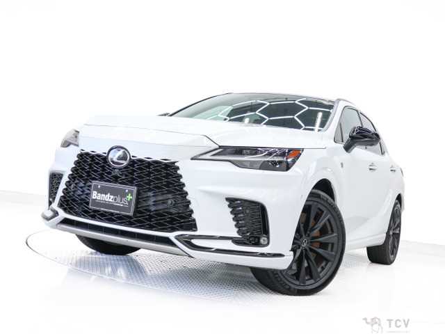 2024 Lexus RX