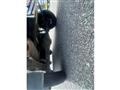 2005 Suzuki Carry Truck