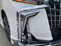 2019 Toyota Alphard G