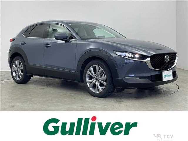 2022 Mazda CX-3