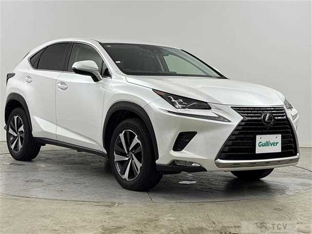 2021 Lexus NX