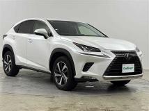 2021 Lexus NX