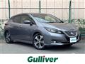 2018 Nissan Leaf