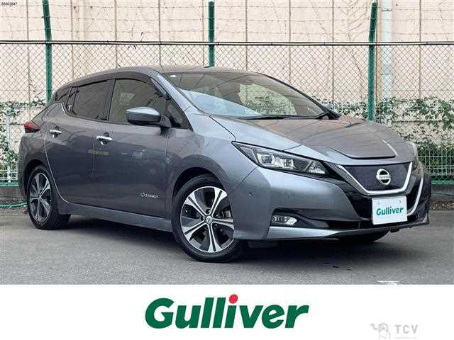 2018 Nissan Leaf