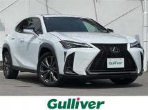 2018 Lexus UX