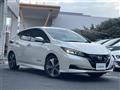 2022 Nissan Leaf