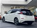2022 Nissan Leaf