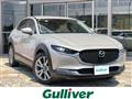 2022 Mazda CX-3