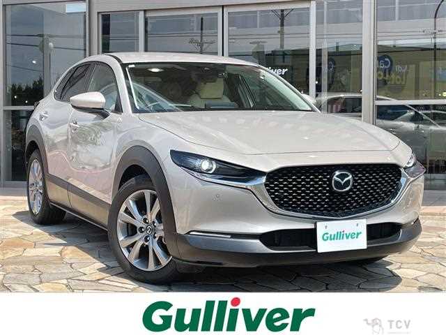 2022 Mazda CX-3