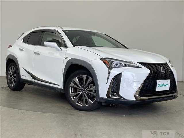 2019 Lexus UX