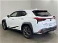 2019 Lexus UX