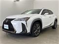2019 Lexus UX