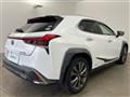 2019 Lexus UX