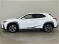 2019 Lexus UX