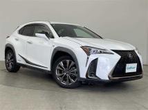 2019 Lexus UX