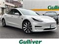 2020 Tesla Motors Others