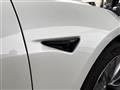 2020 Tesla Motors Others