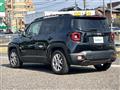 2019 Chrysler Renegade