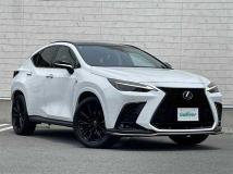2021 Lexus NX