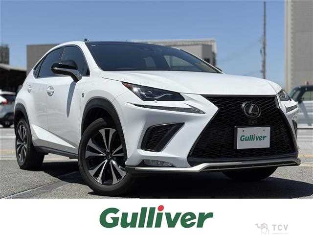 2019 Lexus NX