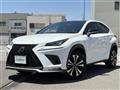 2019 Lexus NX