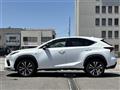 2019 Lexus NX