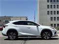 2019 Lexus NX