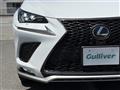 2019 Lexus NX