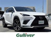 2019 Lexus NX