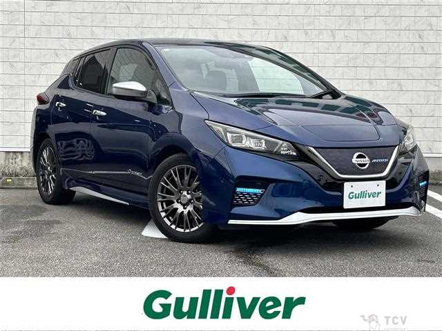 2020 Nissan Leaf