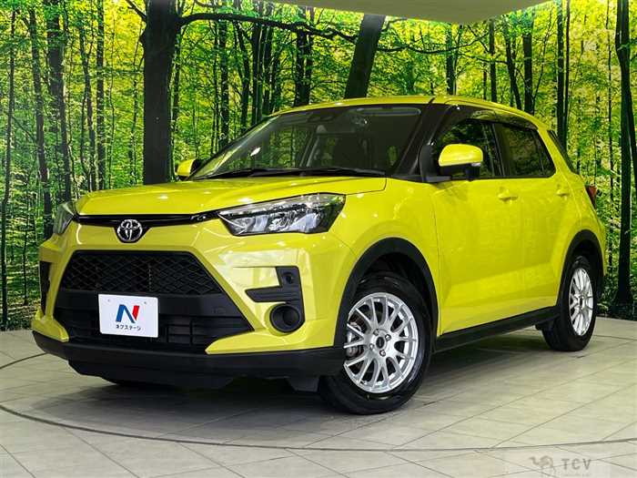 2019 Toyota Raize
