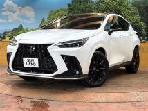 2022 Lexus NX