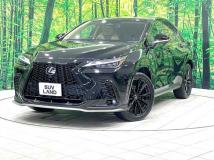 2024 Lexus NX