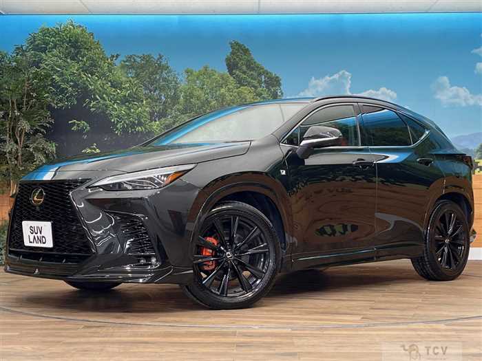 2024 Lexus NX