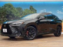 2024 Lexus NX