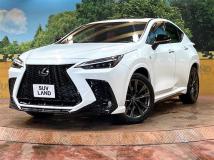 2023 Lexus NX