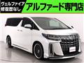 2019 Toyota Alphard G