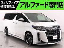 2019 Toyota Alphard G