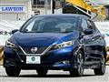 2017 Nissan Nissan Others