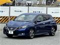 2017 Nissan Nissan Others