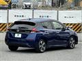 2017 Nissan Nissan Others