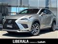2021 Lexus NX