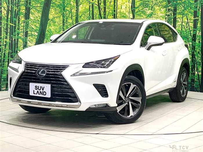 2019 Lexus NX